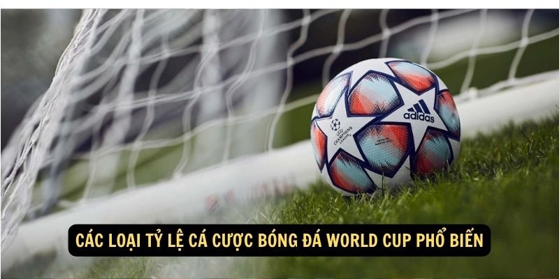 Các loại tỷ lệ cá cược bóng đá World Cup phổ biến