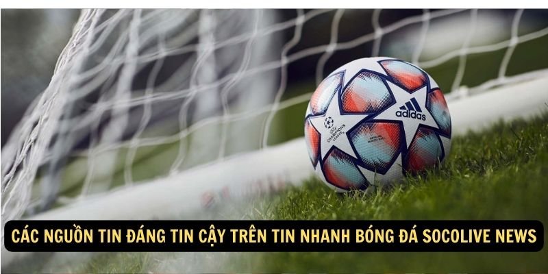 Các nguồn tin đáng tin cậy trên tin nhanh bóng đá socolive news