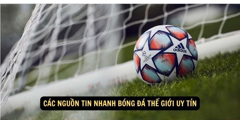 Các nguồn tin nhanh bóng đá thế giới uy tín