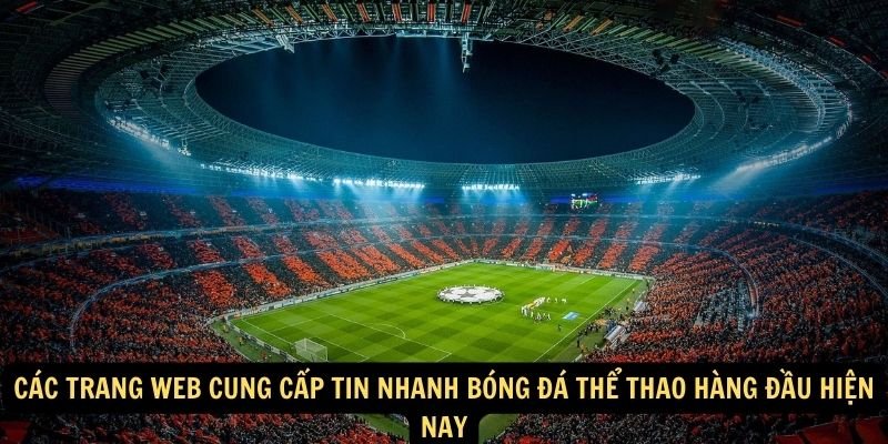 Các trang web cung cấp tin nhanh bóng đá thể thao hàng đầu hiện nay