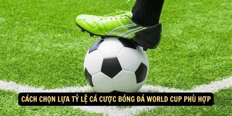 Cach chon lua Ty Le Ca Cuoc Bong Da World Cup phu hop