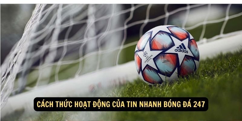 Cách thức hoạt động của tin nhanh bóng đá 247