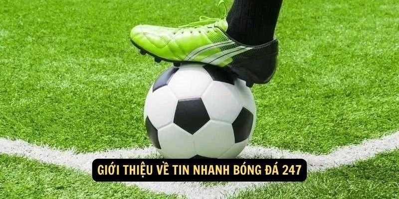 Giới thiệu về Tin Nhanh Bóng Đá 247