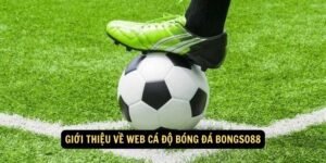 Gioi thieu ve web ca do bong da Bongso88