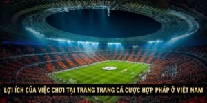 Loi ich cua viec choi tai trang Trang ca cuoc hop phap o Viet Nam